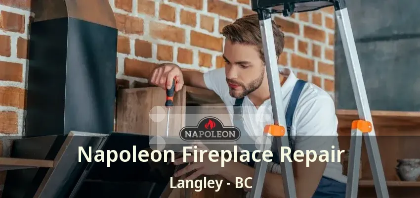 Napoleon Fireplace Repair Langley - BC Napoleon Fireplace Repair Langley - BC