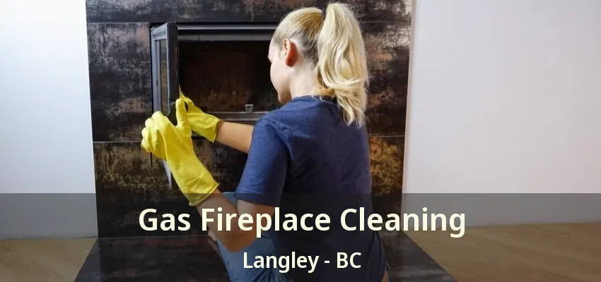 Gas Fireplace Cleaning Langley - BC Gas Fireplace Cleaning Langley - BC